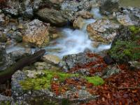 Bemooster Felsklotz und Ast am Bachlauf